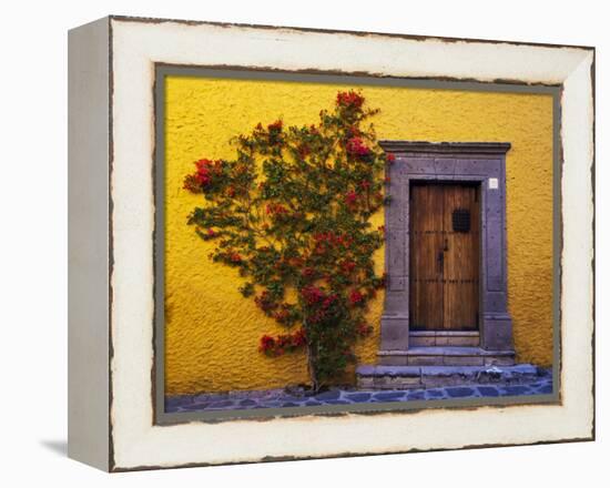 Mexico, San Miguel de Allende, Doorway with Flowering Bush-Terry Eggers-Framed Premier Image Canvas