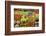 Mexico, San Miguel De Allende. Fruits and Vegetables at Market-Jaynes Gallery-Framed Photographic Print