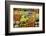 Mexico, San Miguel De Allende. Fruits and Vegetables at Market-Jaynes Gallery-Framed Photographic Print