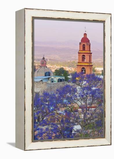 Mexico, San Miguel De Allende. Jacaranda Tree and City Overview-Jaynes Gallery-Framed Premier Image Canvas