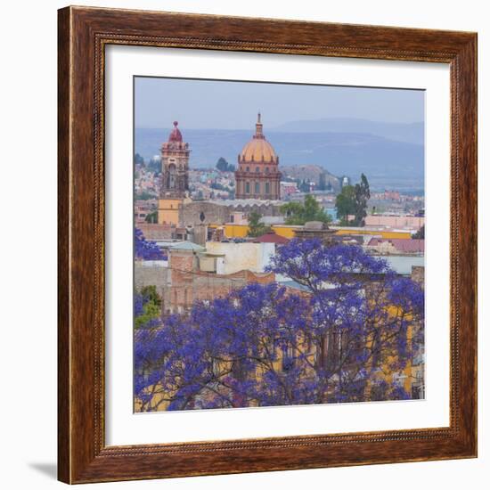 Mexico, San Miguel De Allende. Jacaranda Tree and City Overview-Jaynes Gallery-Framed Photographic Print