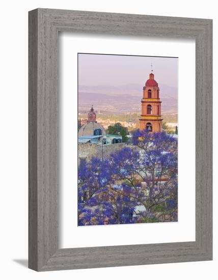 Mexico, San Miguel De Allende. Jacaranda Tree and City Overview-Jaynes Gallery-Framed Photographic Print