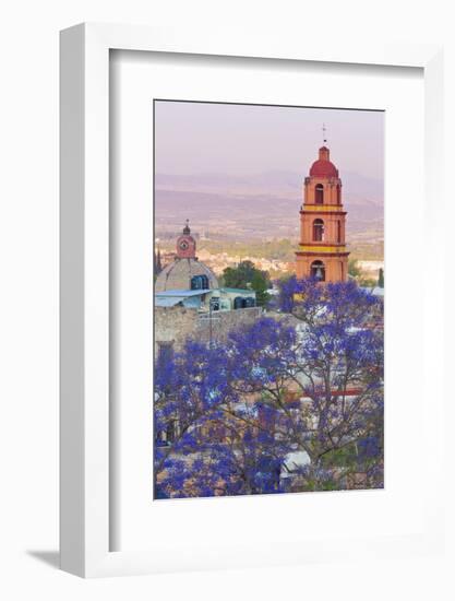 Mexico, San Miguel De Allende. Jacaranda Tree and City Overview-Jaynes Gallery-Framed Photographic Print