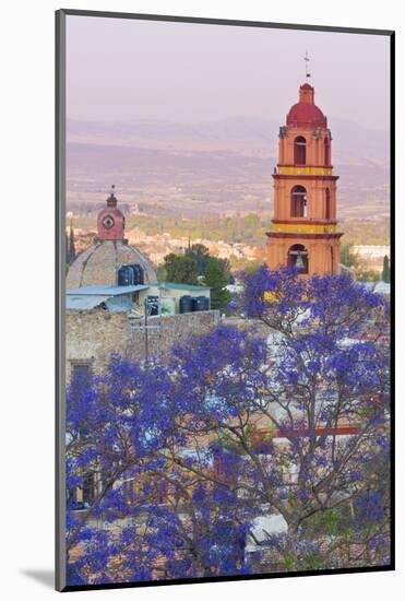 Mexico, San Miguel De Allende. Jacaranda Tree and City Overview-Jaynes Gallery-Mounted Photographic Print