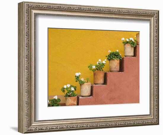 Mexico, San Miguel De Allende. Potted Flowers on Staircase-Jaynes Gallery-Framed Photographic Print