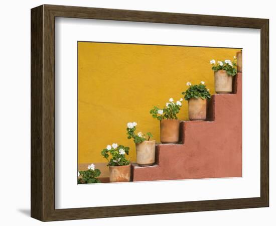 Mexico, San Miguel De Allende. Potted Flowers on Staircase-Jaynes Gallery-Framed Photographic Print