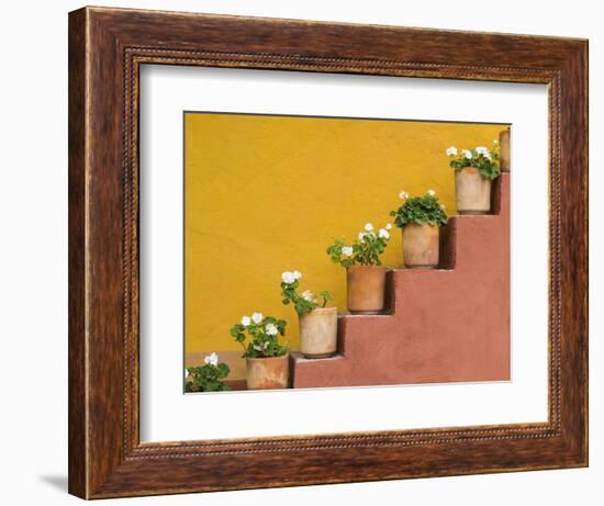 Mexico, San Miguel De Allende. Potted Flowers on Staircase-Jaynes Gallery-Framed Photographic Print