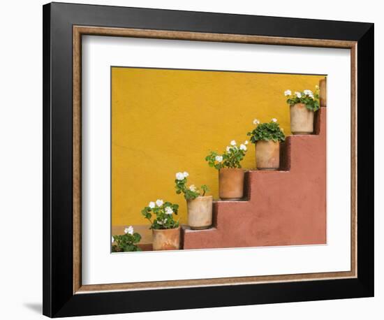 Mexico, San Miguel De Allende. Potted Flowers on Staircase-Jaynes Gallery-Framed Photographic Print