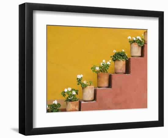 Mexico, San Miguel De Allende. Potted Flowers on Staircase-Jaynes Gallery-Framed Photographic Print