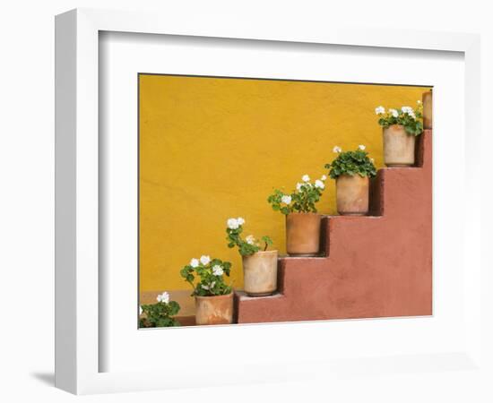 Mexico, San Miguel De Allende. Potted Flowers on Staircase-Jaynes Gallery-Framed Photographic Print