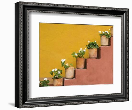 Mexico, San Miguel De Allende. Potted Flowers on Staircase-Jaynes Gallery-Framed Photographic Print