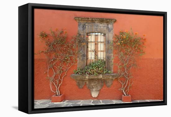 Mexico, San Miguel de Allende. Scenic of window and plants.-Don Paulson-Framed Premier Image Canvas