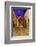 Mexico, San Miguel de Allende. Street scene with La Parroquia.-Don Paulson-Framed Photographic Print