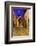 Mexico, San Miguel de Allende. Street scene with La Parroquia.-Don Paulson-Framed Photographic Print