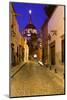 Mexico, San Miguel de Allende. Street scene with La Parroquia.-Don Paulson-Mounted Photographic Print