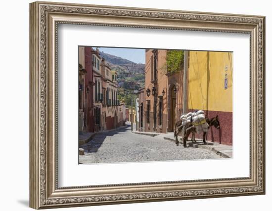 Mexico, San Miguel De Allende. Two Laden Donkeys on Sidewalk-Jaynes Gallery-Framed Photographic Print