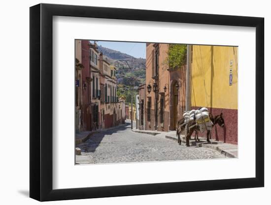 Mexico, San Miguel De Allende. Two Laden Donkeys on Sidewalk-Jaynes Gallery-Framed Photographic Print