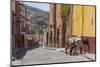 Mexico, San Miguel De Allende. Two Laden Donkeys on Sidewalk-Jaynes Gallery-Mounted Photographic Print