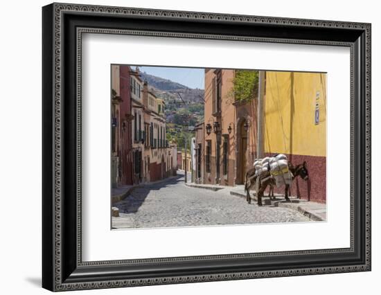 Mexico, San Miguel De Allende. Two Laden Donkeys on Sidewalk-Jaynes Gallery-Framed Photographic Print