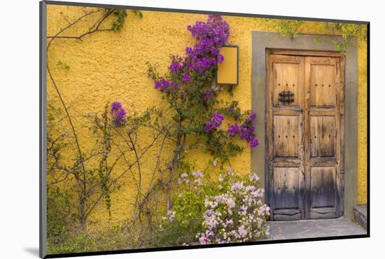 Mexico, San Miguel De Allende. Wooden Doorway-Jaynes Gallery-Mounted Photographic Print