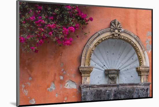 Mexico, Street Fountain Built into a Salmon Colored Wall with Fuschia Flowering Branch-Judith Zimmerman-Mounted Photographic Print