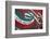 Mexico. Wall Painted to Celebrate Colors of Mexican Flag-Steve Ross-Framed Photographic Print