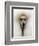 Mexico World Dog Show 2007-Eduardo Verdugo-Framed Photographic Print