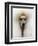 Mexico World Dog Show 2007-Eduardo Verdugo-Framed Photographic Print