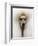 Mexico World Dog Show 2007-Eduardo Verdugo-Framed Photographic Print