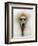 Mexico World Dog Show 2007-Eduardo Verdugo-Framed Photographic Print