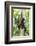 Mexico, Yucatan. Spider Monkey, Adult in Tree-David Slater-Framed Photographic Print