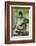 Mexico, Yucatan. Spider Monkey, Adult Scratching-David Slater-Framed Photographic Print