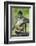 Mexico, Yucatan. Spider Monkey, Adult Scratching-David Slater-Framed Photographic Print