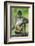 Mexico, Yucatan. Spider Monkey, Adult Scratching-David Slater-Framed Photographic Print