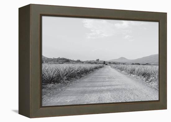 Mexico-PhotoINC Studio-Framed Premier Image Canvas