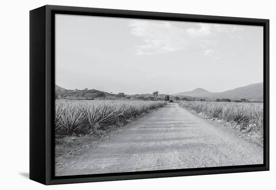 Mexico-PhotoINC Studio-Framed Premier Image Canvas