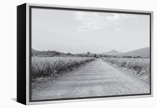 Mexico-PhotoINC Studio-Framed Premier Image Canvas