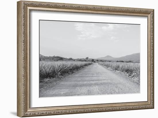 Mexico-PhotoINC Studio-Framed Photographic Print