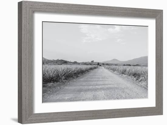 Mexico-PhotoINC Studio-Framed Photographic Print