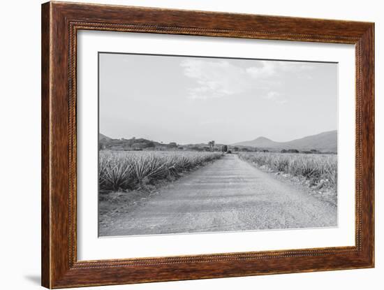 Mexico-PhotoINC Studio-Framed Photographic Print