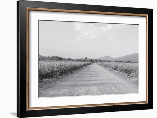 Mexico-PhotoINC Studio-Framed Photographic Print