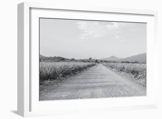 Mexico-PhotoINC Studio-Framed Photographic Print