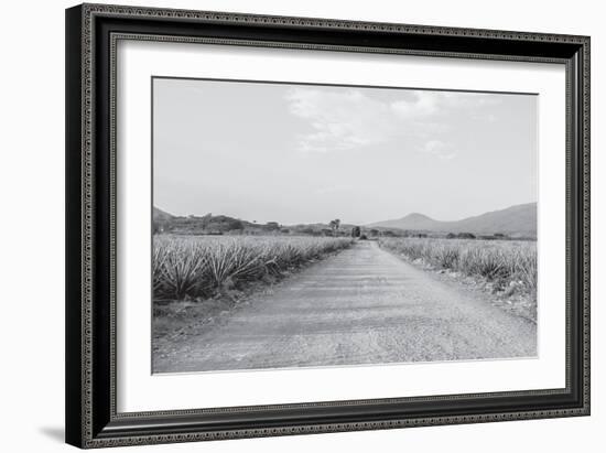 Mexico-PhotoINC Studio-Framed Photographic Print