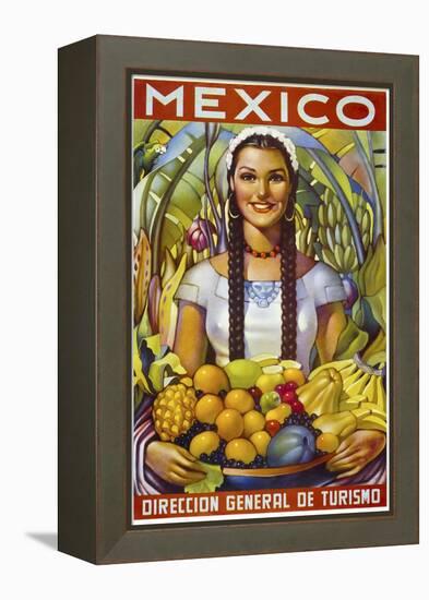 Mexico-null-Framed Premier Image Canvas