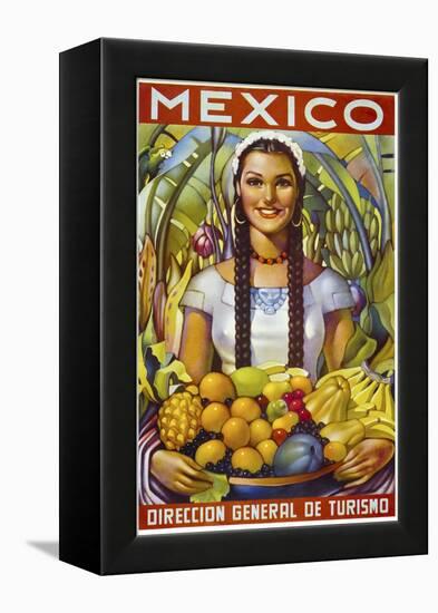 Mexico-null-Framed Premier Image Canvas