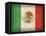 Mexico-David Bowman-Framed Premier Image Canvas