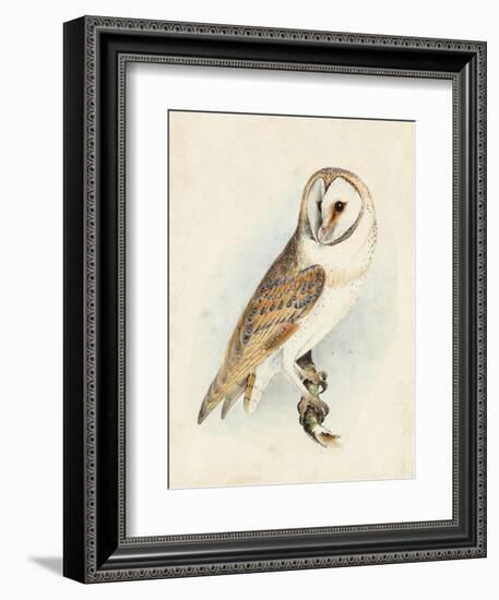 Meyer Barn Owl-H. l. Meyer-Framed Premium Giclee Print