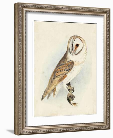 Meyer Barn Owl-H. l. Meyer-Framed Art Print