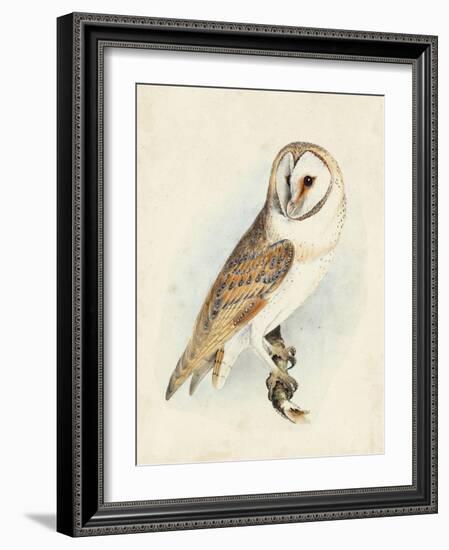 Meyer Barn Owl-H. l. Meyer-Framed Art Print