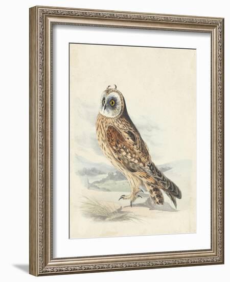 Meyer Hawk Owl-H. l. Meyer-Framed Art Print